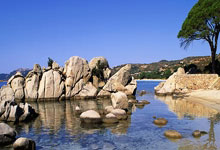 大巴黎对决巴萨,谁能在欧冠赛场笑到最后?